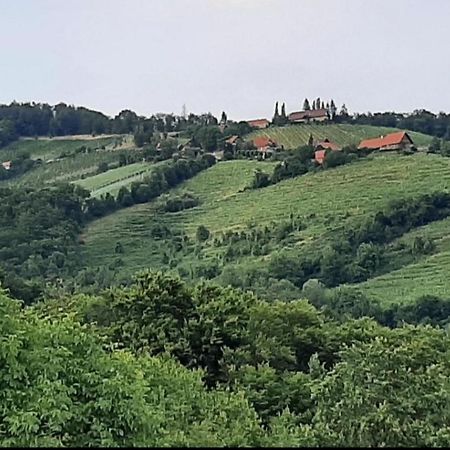 Obstbau Und Gaestezimmer Stani Kitzeck im Sausal Luaran gambar