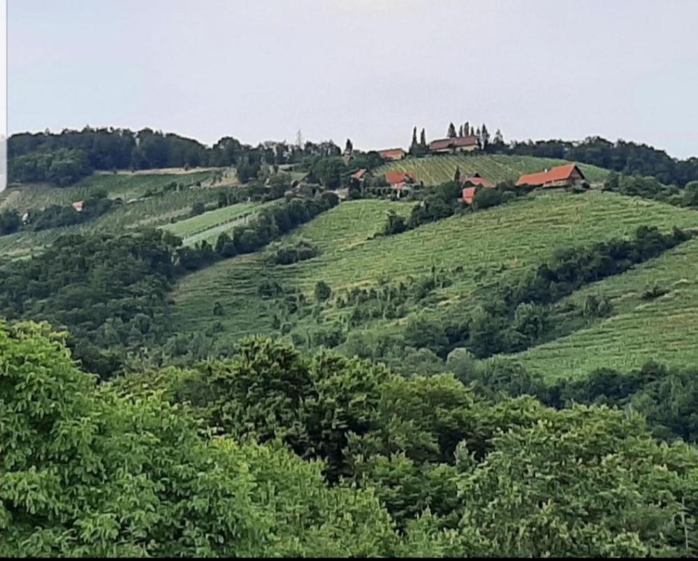 Obstbau Und Gaestezimmer Stani Kitzeck im Sausal Luaran gambar